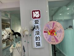 -爱洗澡的猫(望京店)