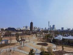 -葛仙湖公园
