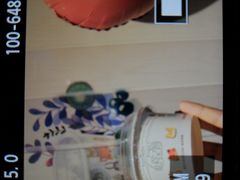 -狐狸家·酸奶酪专门店(平江路店)