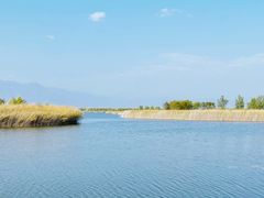 -野鸭湖国家湿地公园