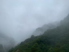 -龙湾潭国家森林公园
