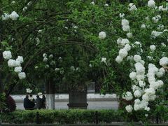 -明故宫遗址公园