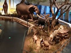 -长江文明馆