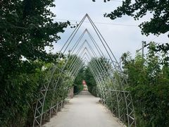 -意大利农场度假村