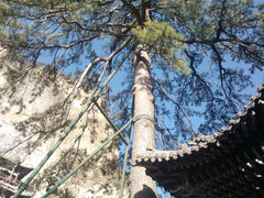 upload_pic-藏山旅游风景区