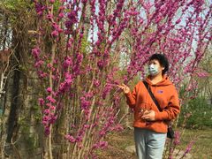 -丰台花园