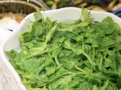 豌豆尖-同福社