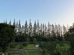 -前小桔亲子创意农场·草莓采摘·露营烧烤