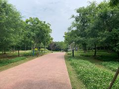 -盘龙城国家考古遗址公园