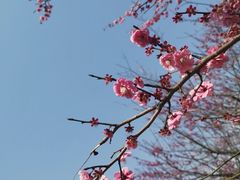 -白塘生态植物园