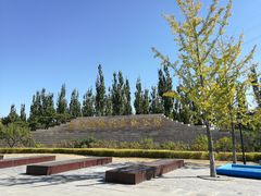 -永定河休闲森林公园