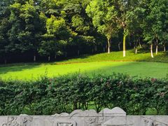 -龙头寺公园