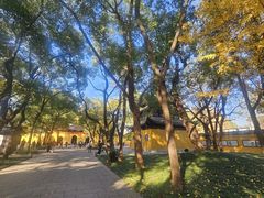 -西园戒幢律寺