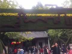 -汇龙潭