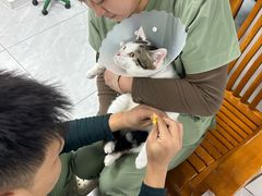-达爱动物医院·犬猫分区·CT·复杂眼科(远洋山水分院)