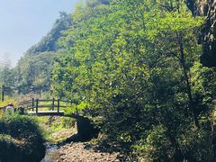 -夏霖九天银瀑风景区