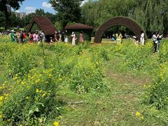 -长白岛森林公园