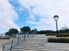 -羊山湖公园