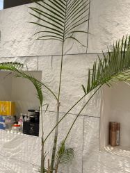 -BOF HAIR BY HONTO