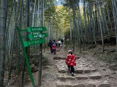 -莫干山风景区