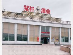 -紫轩葡萄酒庄园