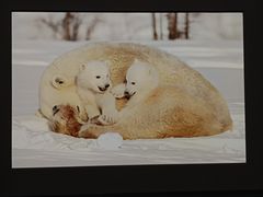 -罗红摄影艺术馆