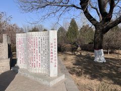 -大槐树寻根祭祖园