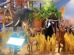 -卡通尼·Safari非洲探索乐园·生日会(金桥国际商业广场店)