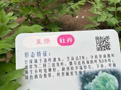 -仁和公园(顺义区)