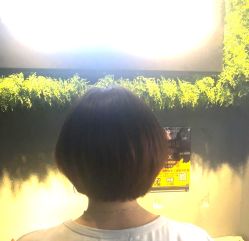 -藤野造型