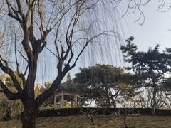 -团结湖公园