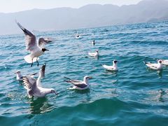 -丽江泸沽湖景区