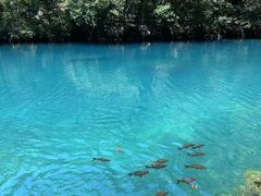 -小七孔景区-六十八级跌水瀑布