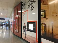 -达拉斯 沃斯堡国际机场