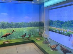 -大湾区中央湿地公园