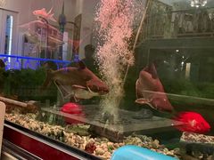 -阿拉丁新疆风味餐厅·清真(罗廊巷店)