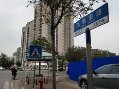 -飞来湖湿地公园