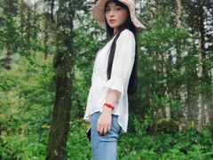 -石棉县孟获城