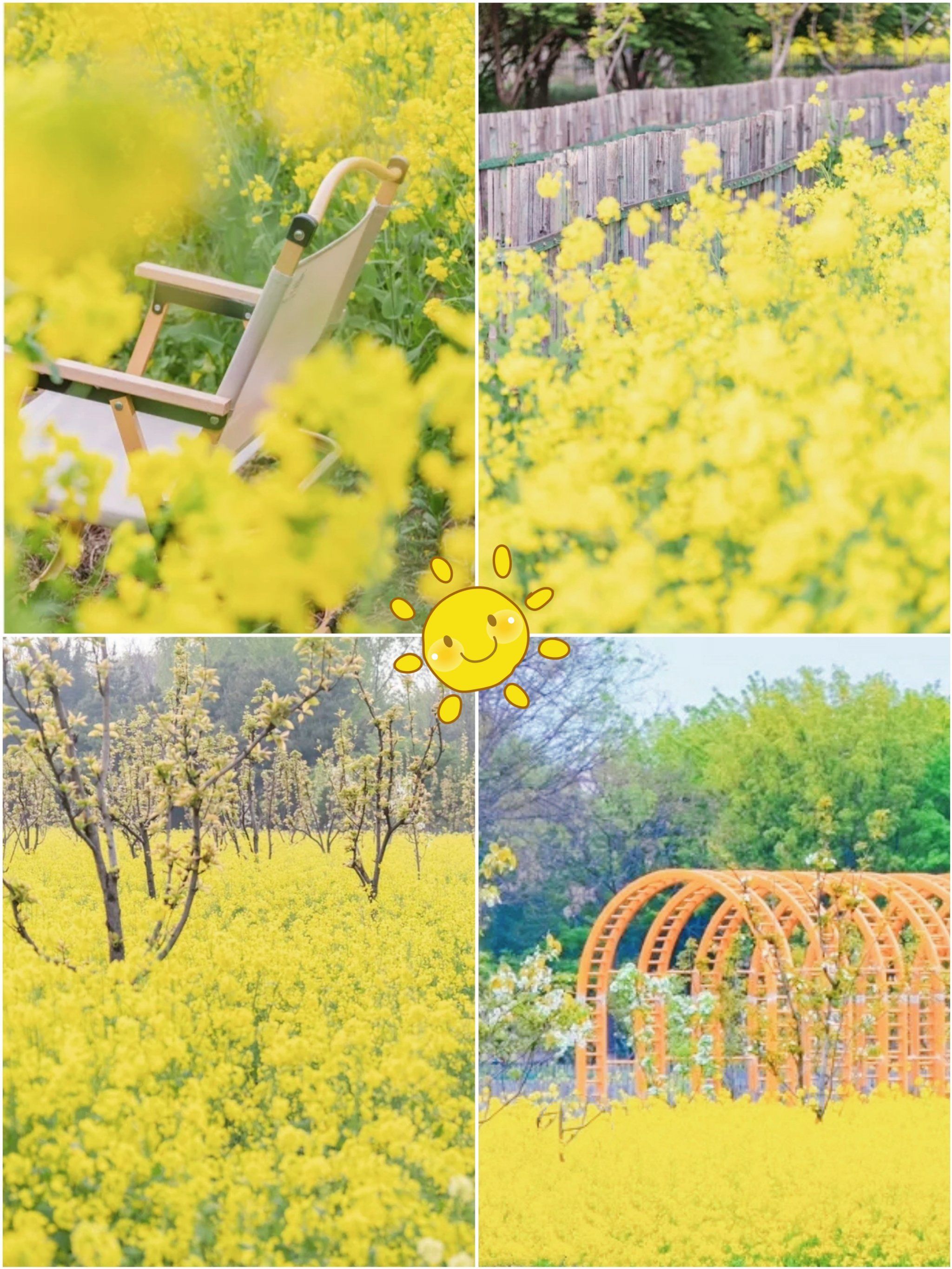[惊叹]

地点就在京城梨园,不需要门票,不用预约,免费入园,免费