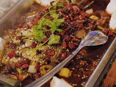 -鱼乐乐(Happy Fish)