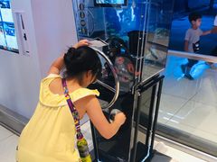 -迪拜水族馆及水下动物园