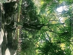 -昆明动物园
