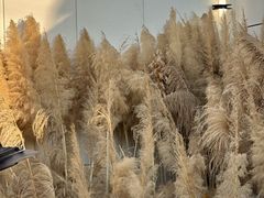 -Blue Concept Cafe&Farm·關於藍