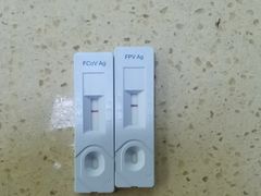 -艾贝尔宠物诊疗