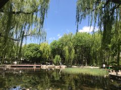 -玲珑塔公园