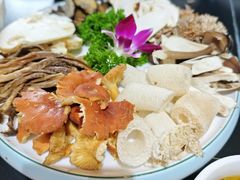 -野菌皇海景野生菌火锅(滨海大道店)