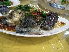 -四姑娘川味海鲜(八爪鱼店)