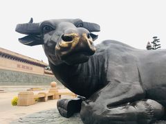 -广东圆玄道观
