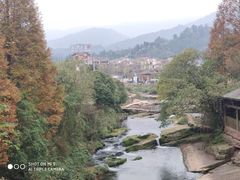 -中国大熊猫保护研究中心雅安碧峰峡基地