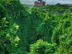 -杭州植物园